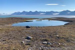 240809_Blomstrandhalvoya_48_D