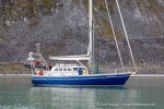 240809_Hamburgbukta_26_D