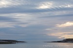 240809_Hamburgbukta_30_D