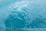240810b_Alkekongen_86_D