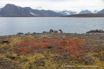 240810e_Krungledalen_066_D