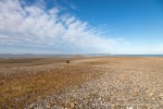 240813a_Tombolooya_030_D