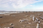 240813a_Tombolooya_038_D