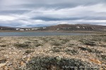 240814b_Franklindalen_090_D