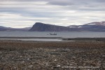 240814b_Franklindalen_173_D
