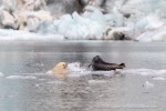 240818c_Freemanbreen_042_D