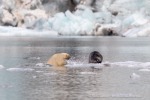 240818c_Freemanbreen_044_D