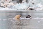 240818c_Freemanbreen_045_D