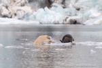 240818c_Freemanbreen_046_D
