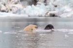 240818c_Freemanbreen_047_D