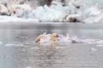 240818c_Freemanbreen_050_D