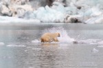 240818c_Freemanbreen_052_D