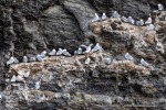 240818d_Buedelfjellet_21_D