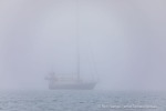 240819a_Halvmaneoya_231_D