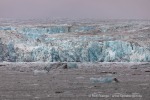 240819c_Deltabreen_06_D
