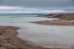 240819d_Tjuvfjordlagune_23_D