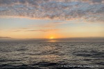 240820b_Sorkapp_01_D
