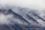 240823b_Blaahuken_03_D