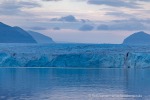 240826f_Tunabreen_42_D