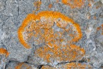 240827a_Bjonahamna_43_D