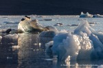 240828b_Borebreen_23_D