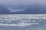 240829b_Kongsfjord_09_D