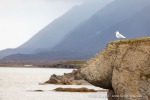 240829c_Ny-Alesund_08_D