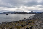 240830a_Virgohamna_21_D