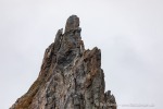 240831a_Hamiltonbukta_037_D