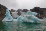 240831a_Hamiltonbukta_085_D