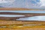 24091a_Andoyane_086_D
