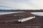 24091a_Andoyane_122_D