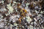 24091a_Andoyane_127_D