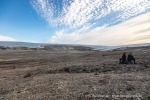 240902b_Ericadalen_226_D