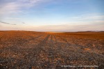 240902d_Von-Otteroya_13_D