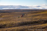 240907a_Tundraodden_38_D