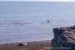 240907a_Tundraodden_50_D