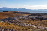 240907b_Bohemanneset_61_D
