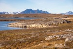 240907b_Bohemanneset_66_D