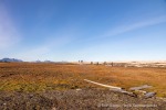240907b_Bohemanneset_76_D