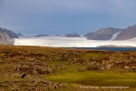 240911b_Hermansenoya_040_D