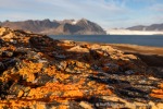 240911b_Hermansenoya_123_D