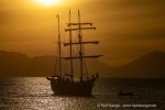 240911b_Hermansenoya_178_D