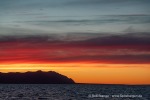 240911d_Fuglehuken_03_D