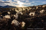 240920b_Gjertsenodden_06_D