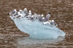 240808b_Ossian-Sarsfjellet_22_D