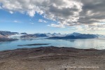 240809_Blomstrandhalvoya_30_D