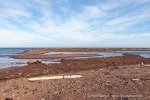 240812a_Tovikbukta_25_D