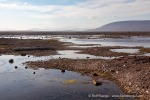 240812a_Tovikbukta_61_D