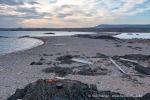 240812b_Mosselbukta_085_D